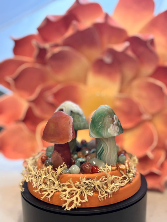 Magical Gobi Agate Mushroom Desert Garden