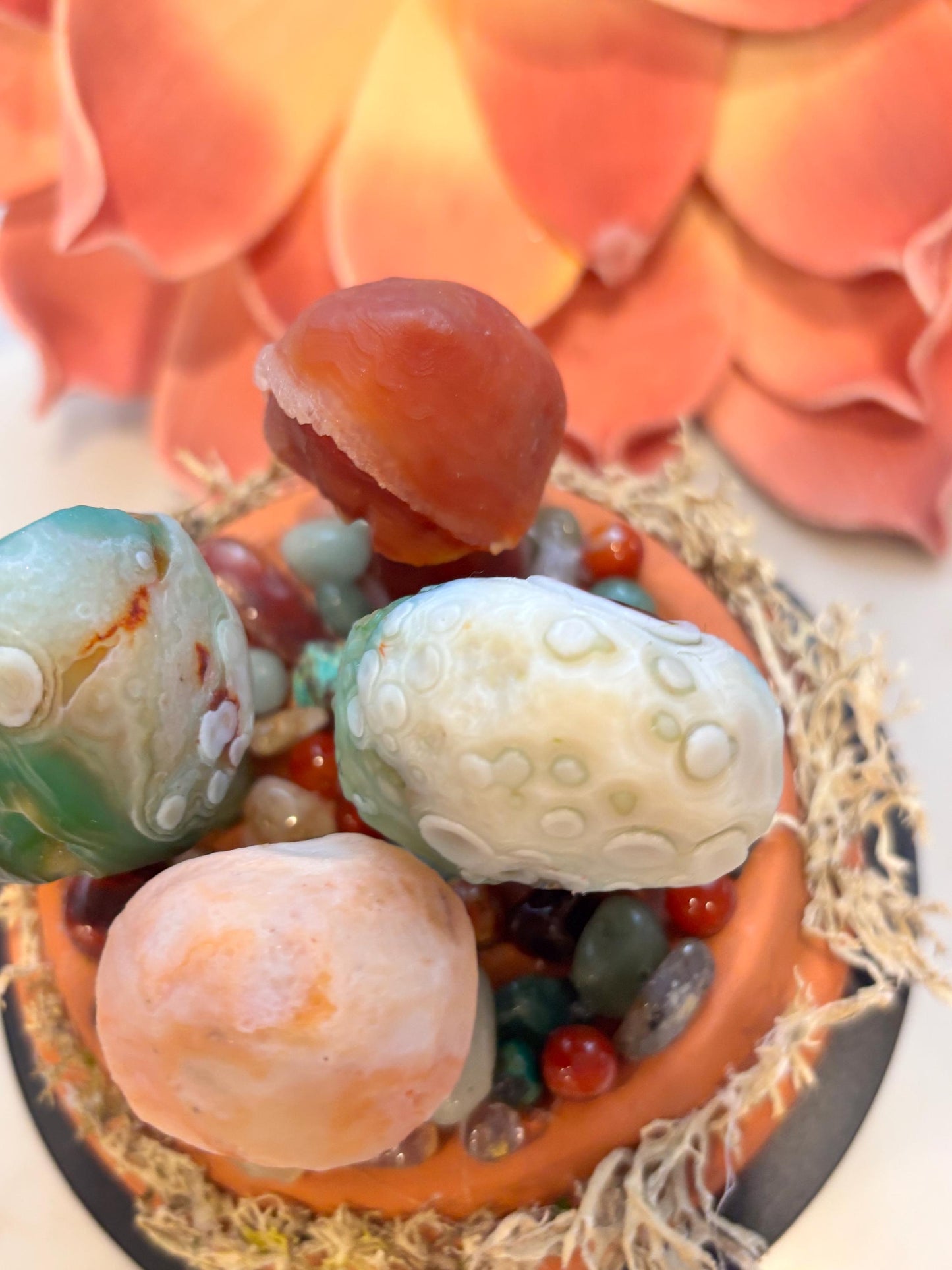 Magical Gobi Agate Mushroom Desert Garden