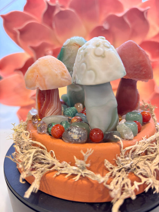 Magical Gobi Agate Mushroom Desert Garden
